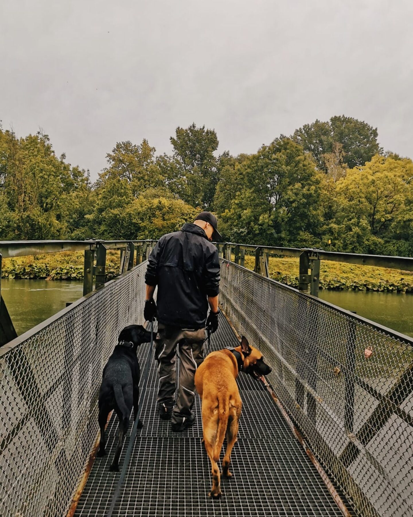 Kevin Pfanzelt beim Spaziergang mit zwei Hunden